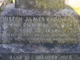 image of grave number 709936